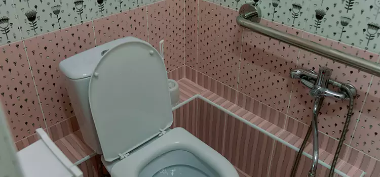 Meeting Diverse Needs With Accessible Restroom Solutions in San Buenaventura (Ventura), CA