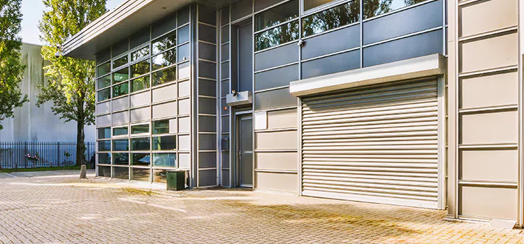 Electric Roller Garage Doors San Buenaventura (Ventura)