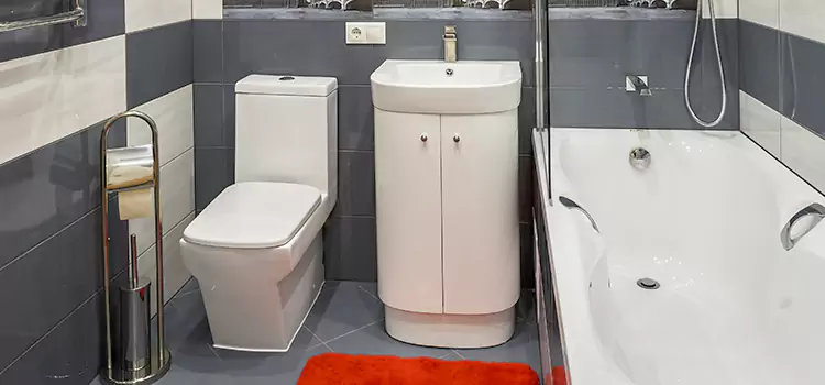 Hansgrohe Shaving Mirror San Buenaventura (Ventura)